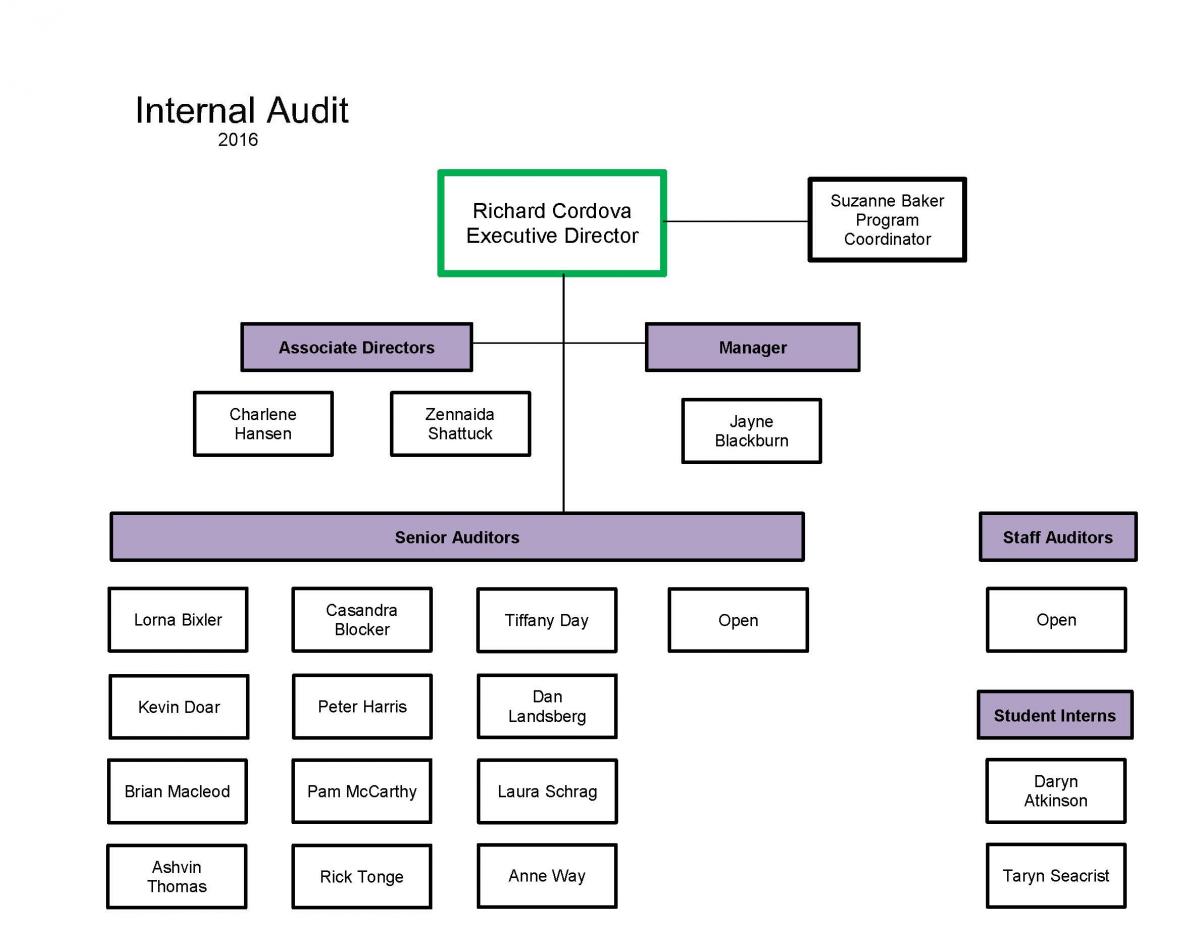 Which Organization Audits Charts Regularly